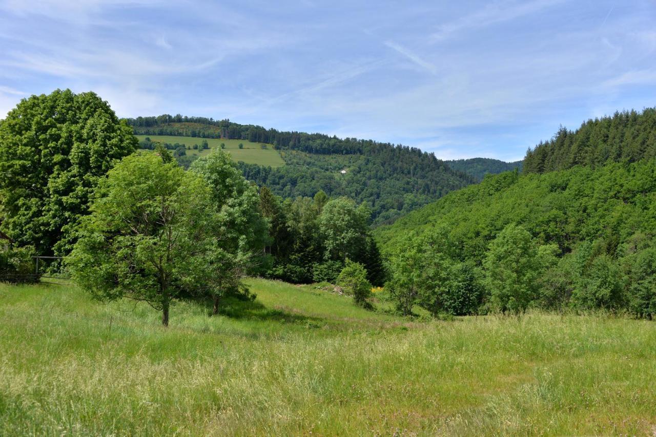 Gite De La Chapelle Des Mineurs Sainte-Marie-aux-Mines Exteriér fotografie