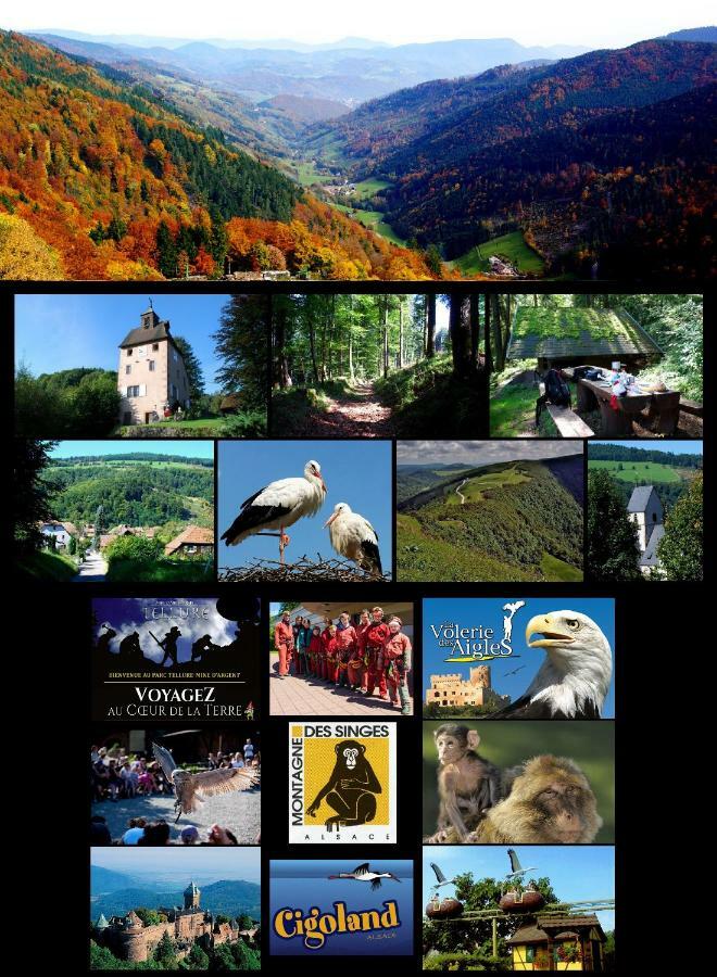 Gite De La Chapelle Des Mineurs Sainte-Marie-aux-Mines Exteriér fotografie